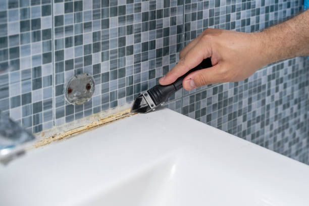 Best Local Mold Removal Service  in Woodside, CA